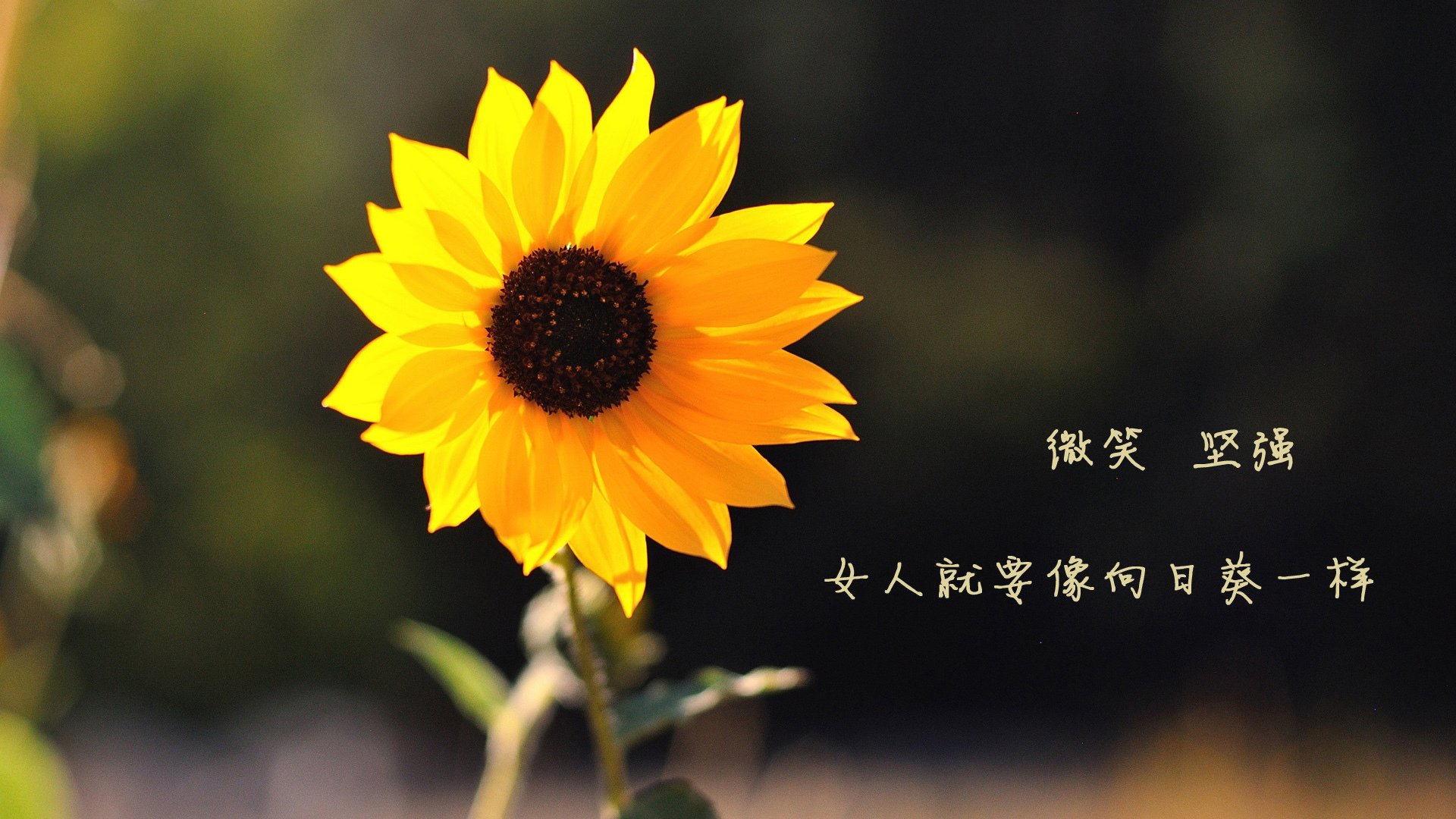热火成立“球员创业加速营”，扶持年轻球员商业化，热火球队文化