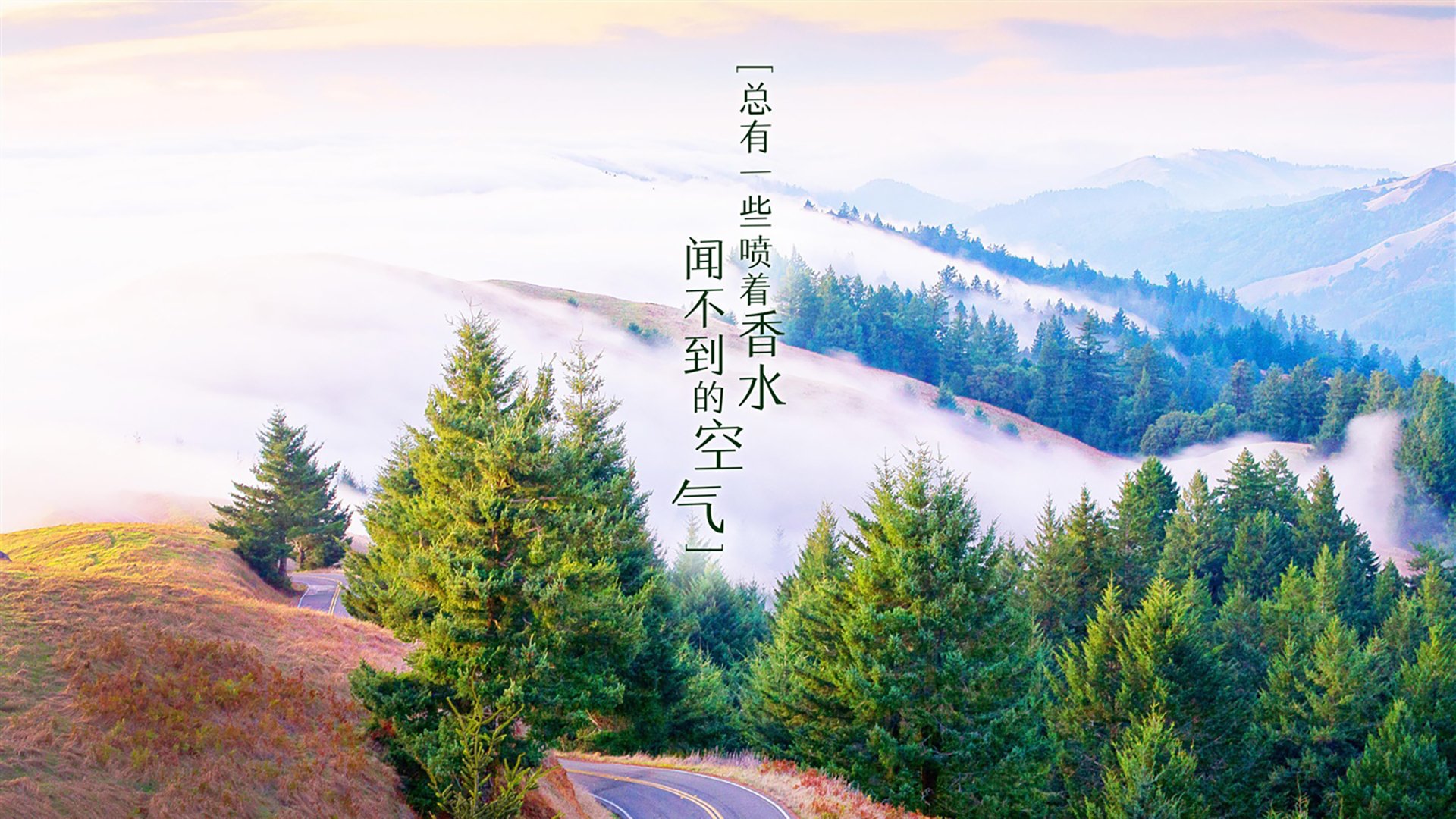 AYX SPORTS-美国反曲弓男队在洲际射箭锦标赛中获得金牌，反曲弓世界纪录
