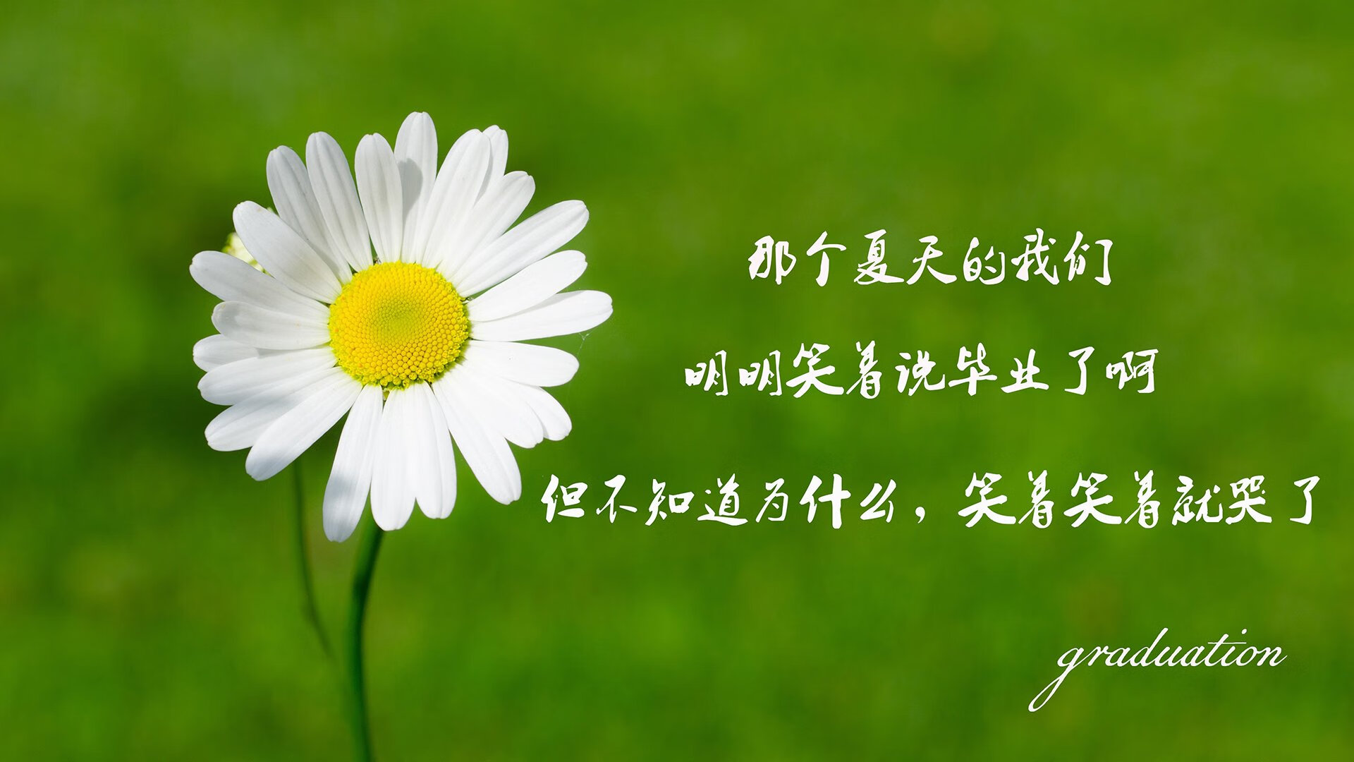 维达德卡萨布兰卡计划举办国际足球训练营，促进交流，大伟卡萨布兰卡