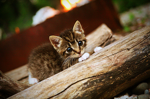 职业俱乐部忽视青年球员系统复盘反馈