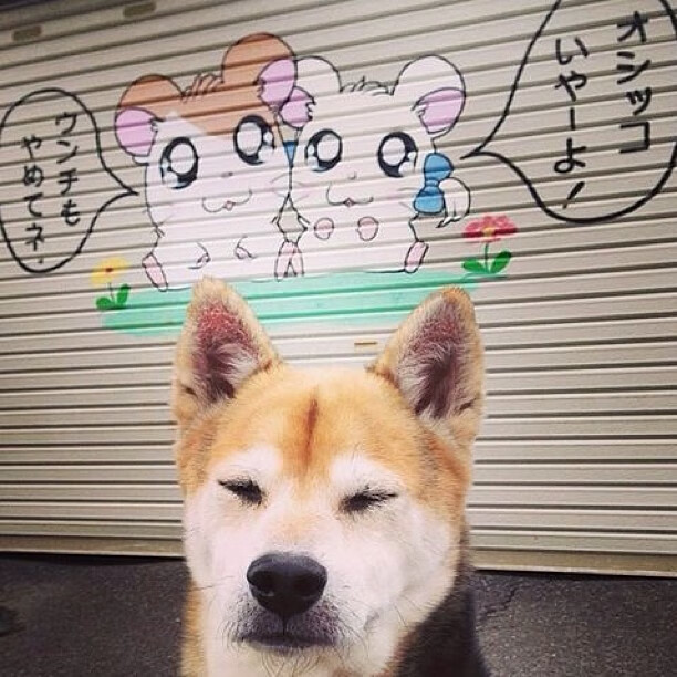 青年队海外交流不断推动战术理念多元化,青年海外协力队