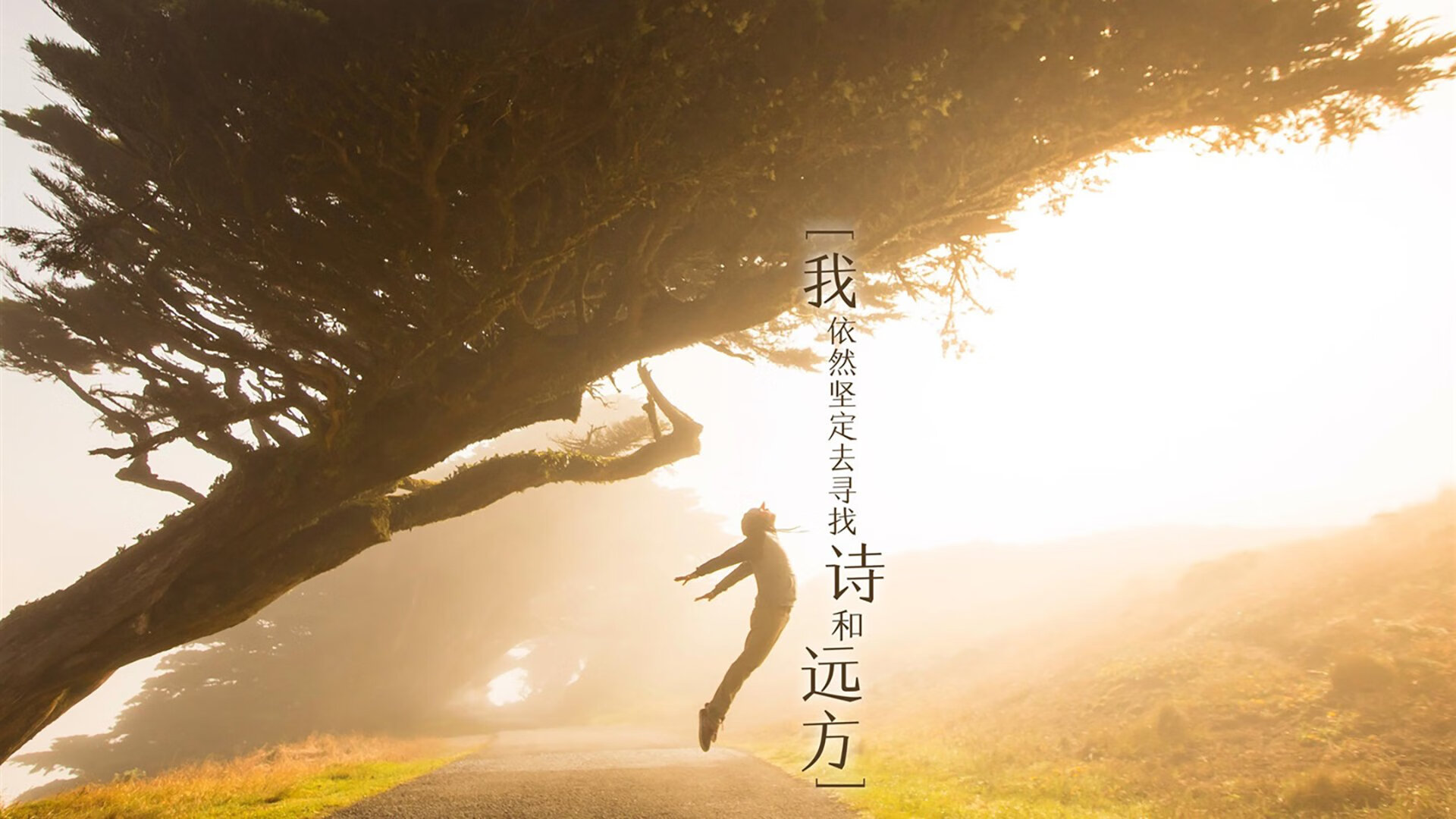 爱游戏电竞官网-世界杯精彩集锦：动人心弦的经典瞬间，世界杯精彩片段