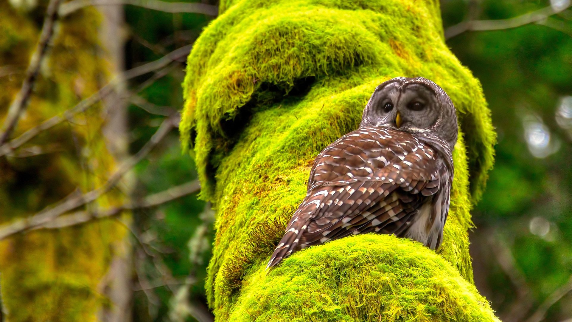 中国足球首次引进职业心理教练助力球员成长,中国足球职业理事会