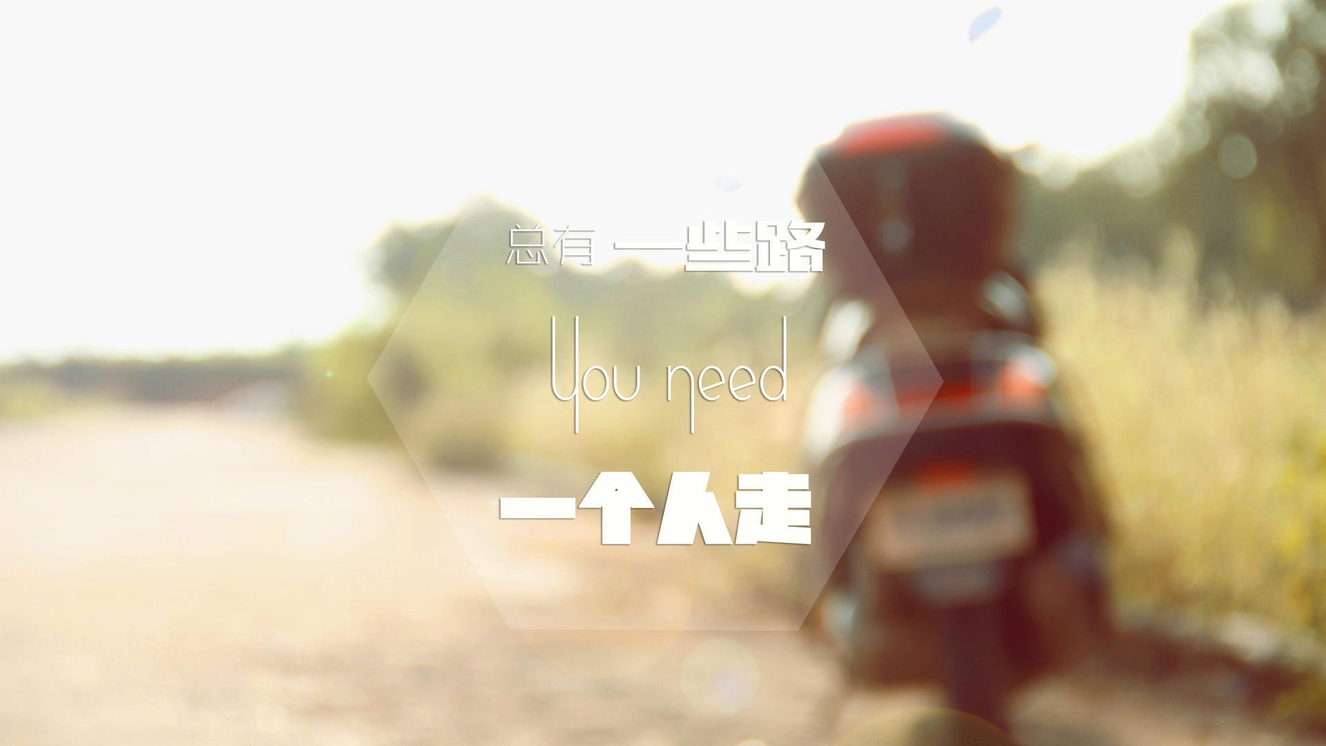 乌拉圭女篮在南美锦标赛中耀眼发光,迈步新纪元,乌拉圭美女球迷