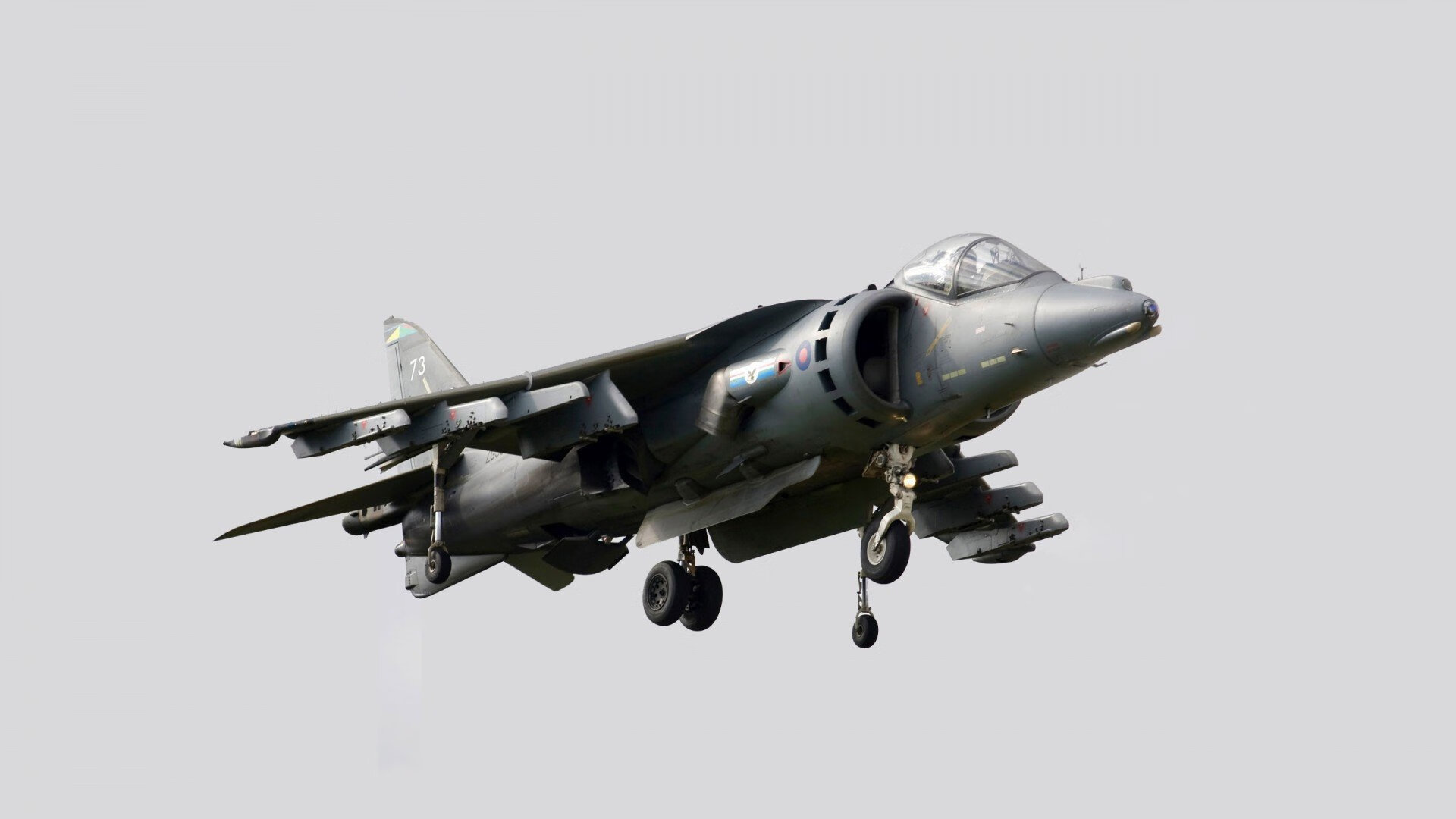 爱游戏官方网站-南非男将自由泳攻速惊人，男子自由泳排名