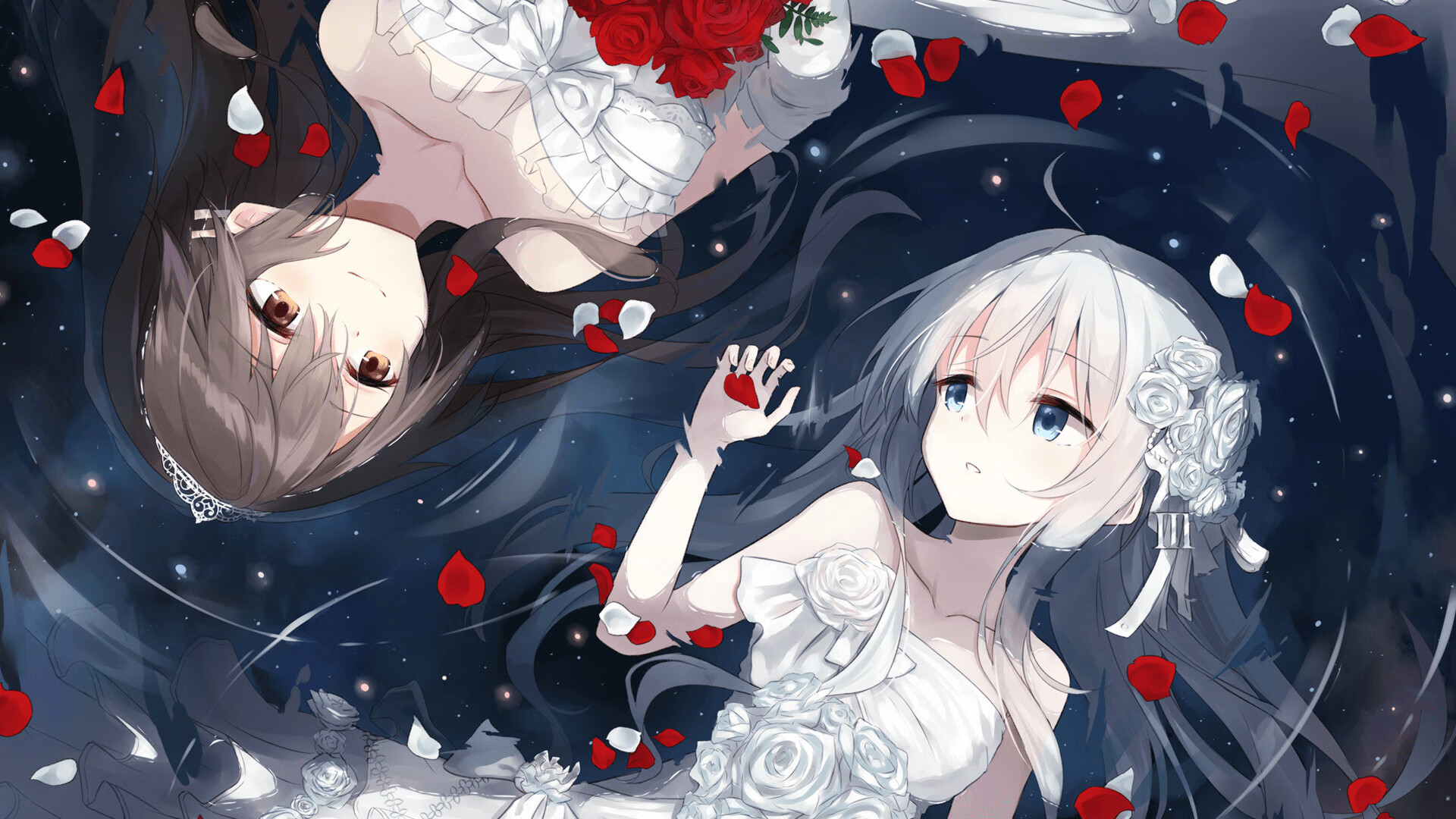 朝鲜蝶泳选手节奏控制精准,朝鲜花样游泳表演