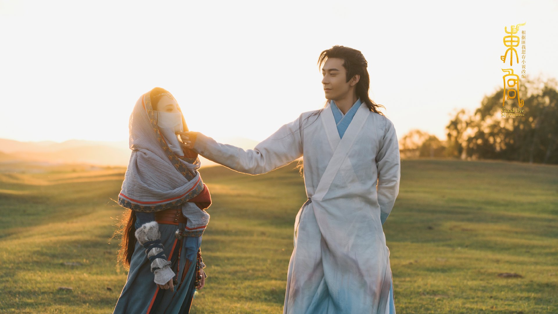 美洲杯夺冠激情:明星拼搏书写传奇,美洲杯的