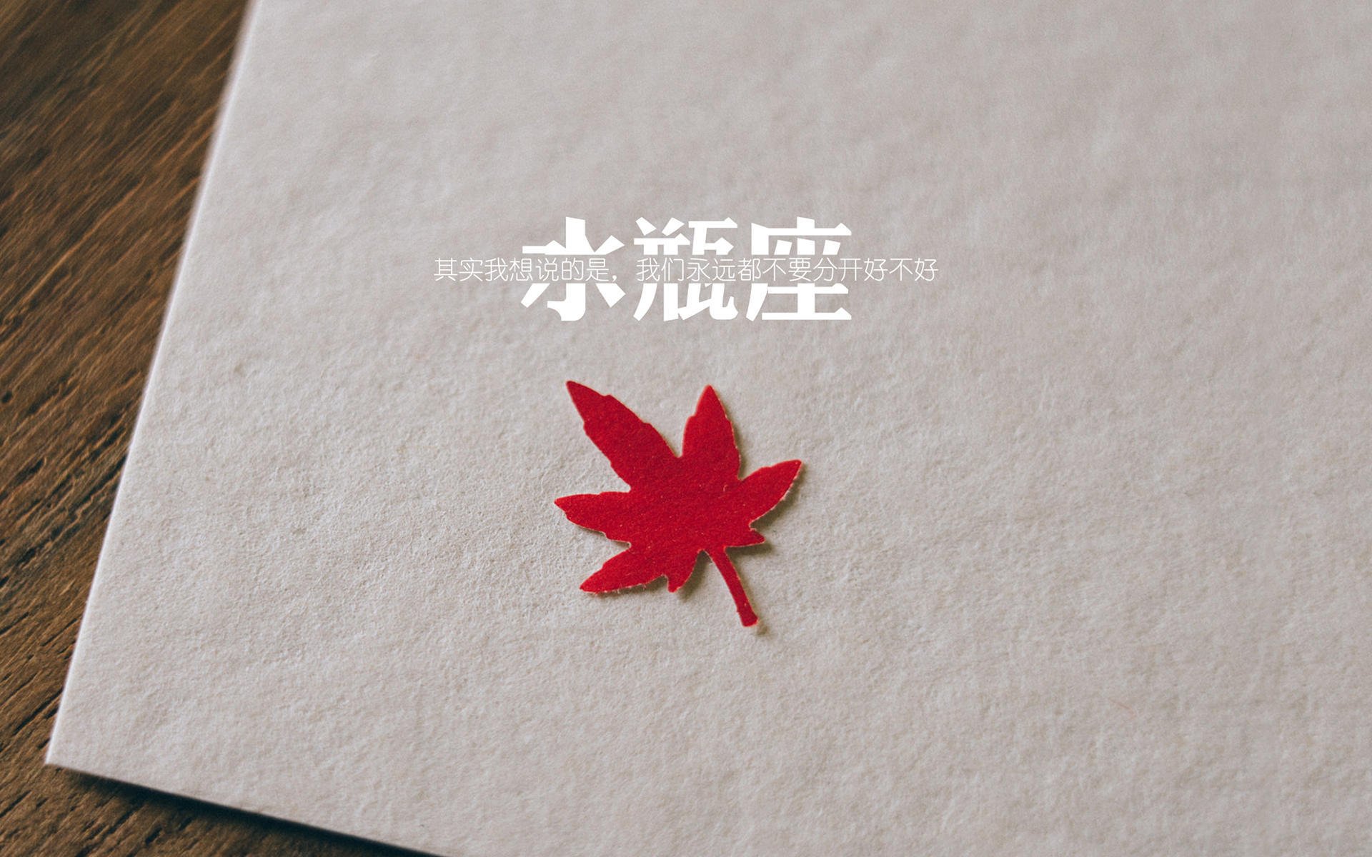 美洲杯明星助攻:绝妙配合点燃全场热血,美洲杯 球星